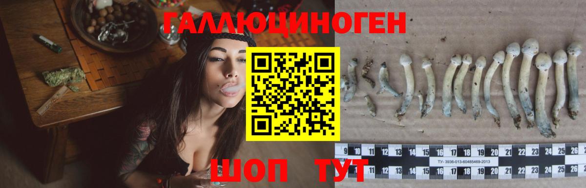 Волжский  Псилоцибиновые грибы MAGIC MUSHROOMS  Вход с VPN 